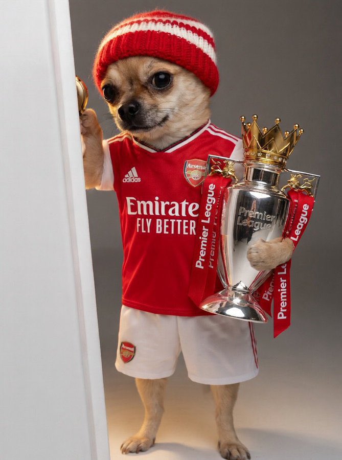 only1frosh tweet media