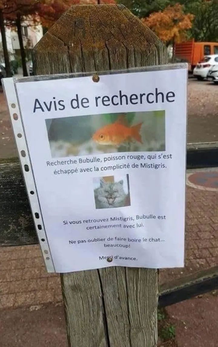 grandebougie's tweet image. Y’a quand même des sacrés ravagés !!