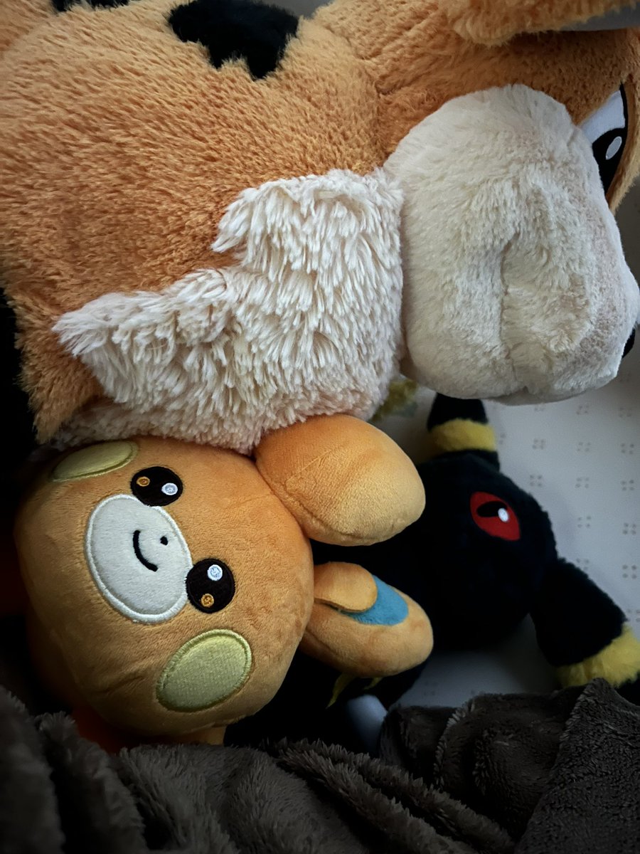 おちゃ🦁 tweet media