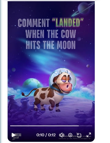 Mike Knopick tweet media