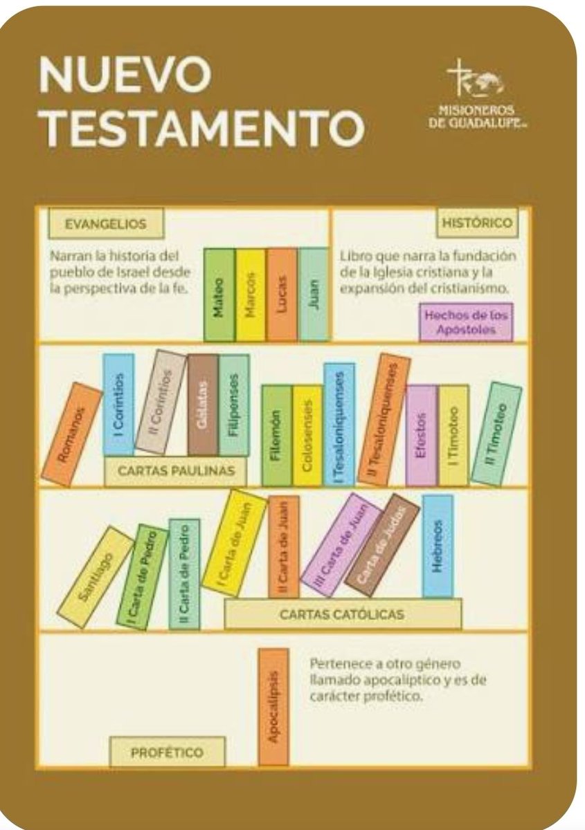 Bellatrix Energia tweet media