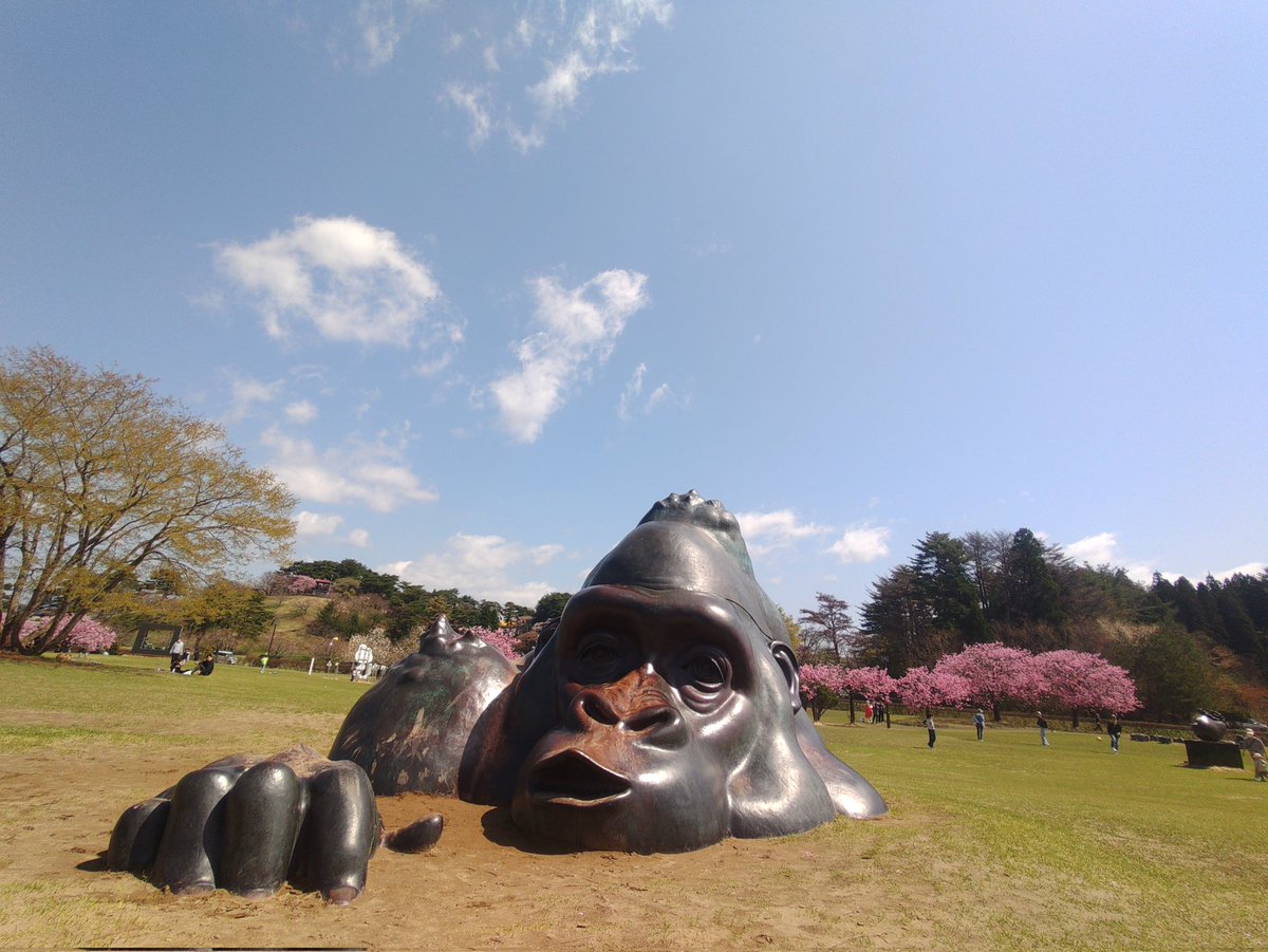 カメさん tweet media