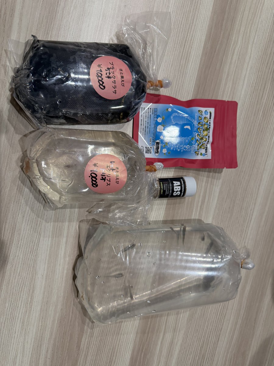 ほっぺ@アクアリウム tweet media