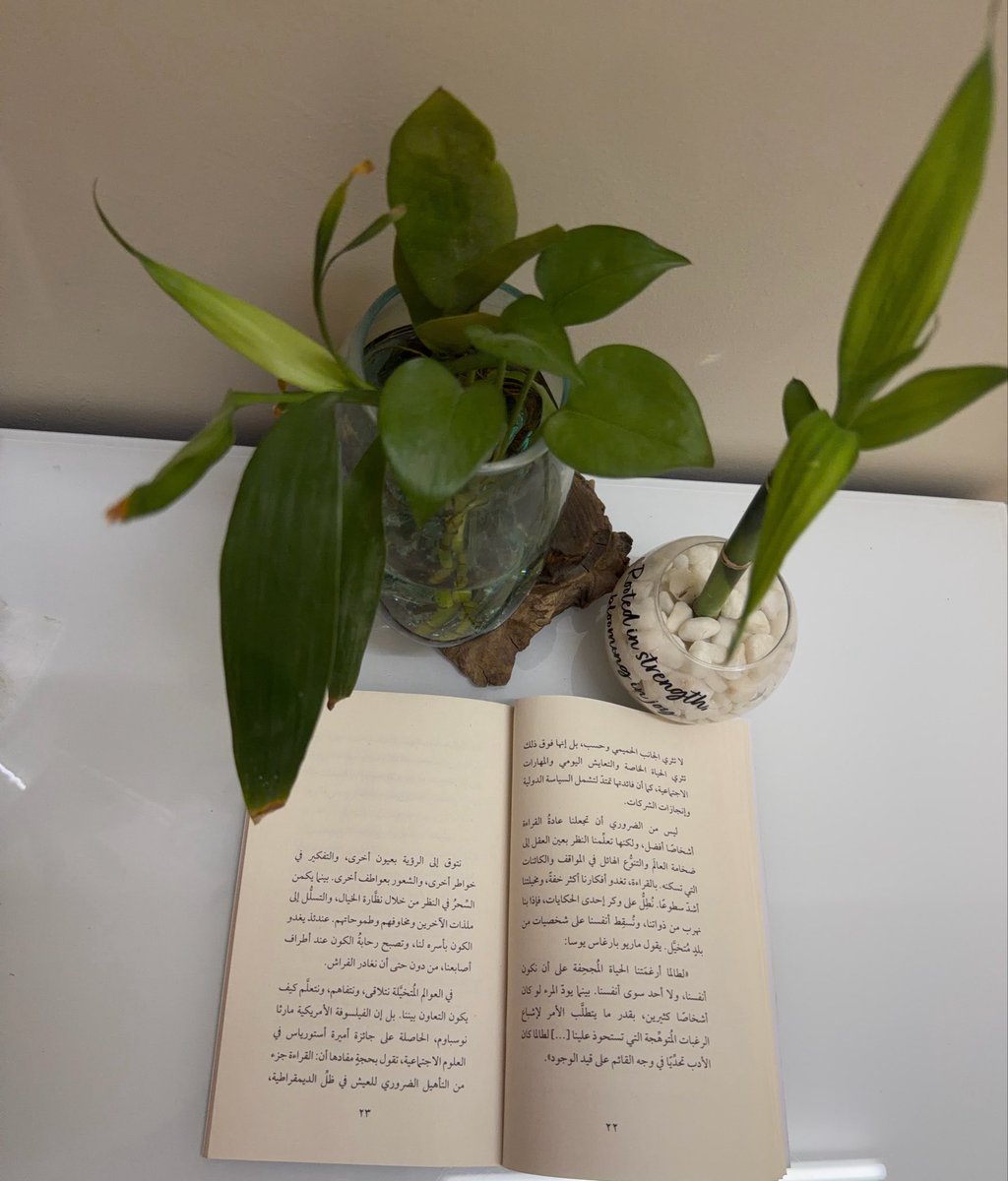 N00ra82's tweet photo. ليس بالضرورة أن تجعلنا عادة القراءة أشخاصًا أفضل ، ولكنها تعلمنا النظر بعين العقل إلى ضخامة  العالم والتنوع الهائل في المواقف والكائنات التي تسكنه
#قراءة_اقتباس https://t.co/s6IxkU7arJ