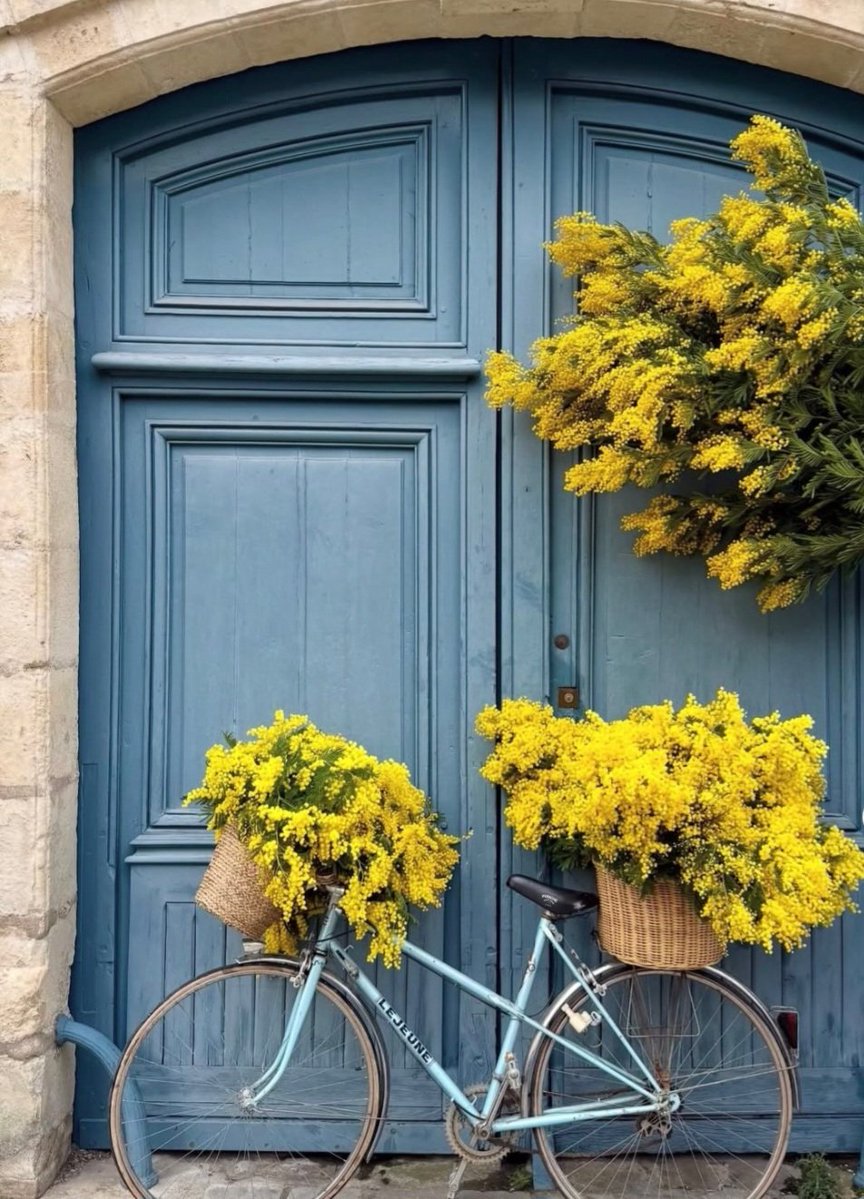 VIParis's tweet image. Happy Sunday! #Paris #Relax #Flowers #France #Travel #Parisjetaime  📸  leopoldhotelparis  IG  🌼🌼