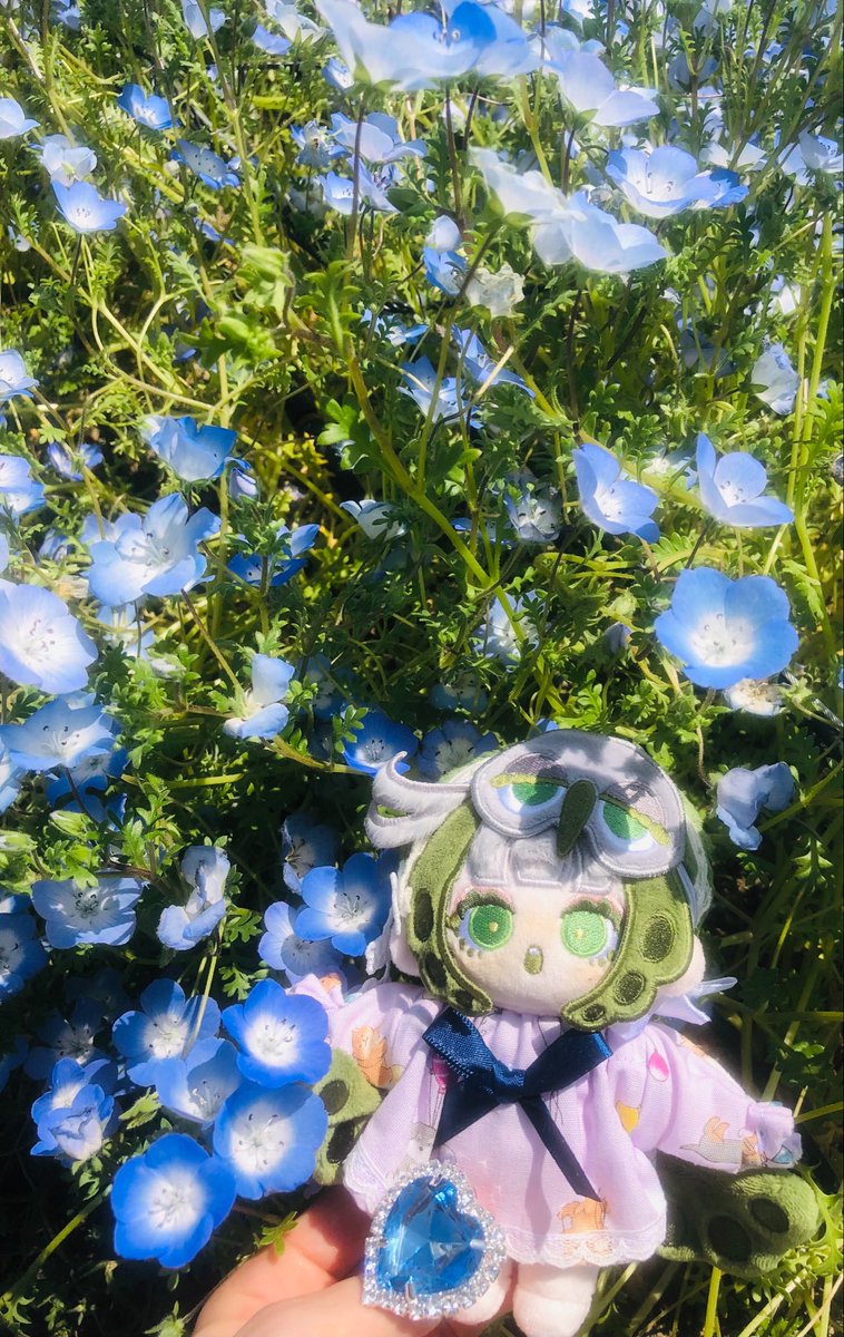ha_gpre's tweet photo. 🌸お花に囲まれるまめときちゃんと新宿高島屋でグルメフェスやってるので気になってたジョンナンミミョンガの野菜スイーツパン♪🍞😊まめときちゃんはなんにでも驚いてくれる、お顔が可愛い〜✨

#朝採りしましま https://t.co/0iABpJ0rVC