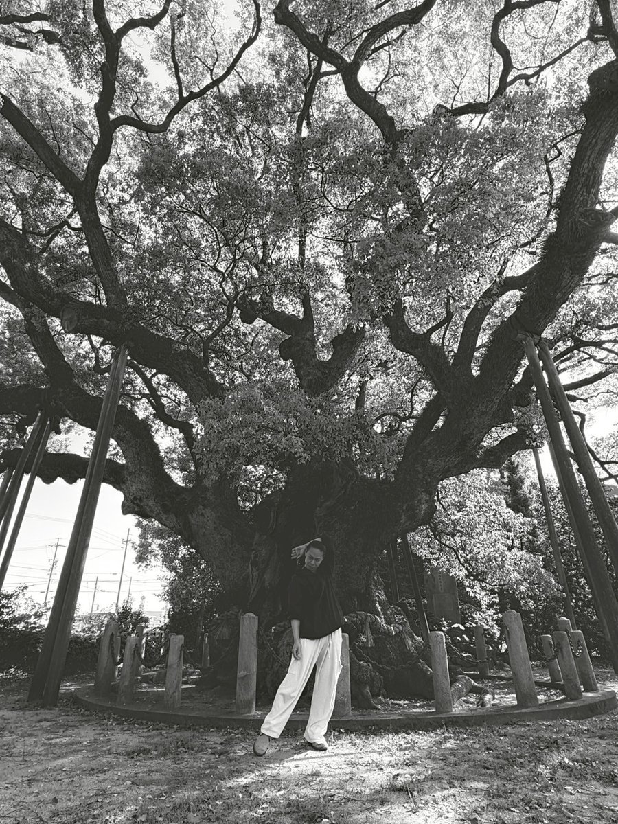 池田遼 tweet media