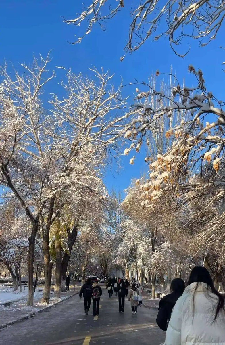 KOnyalı korayy tweet media