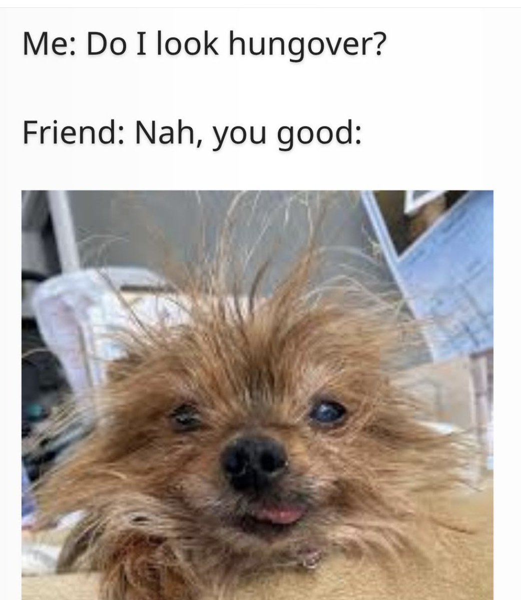 You Rock tweet media