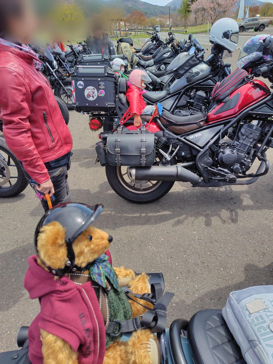 マエルThe馬 tweet media