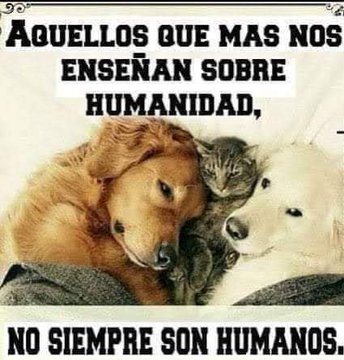 Guadalupe Ramirez tweet media