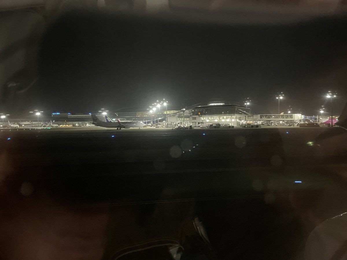 キッド tweet media