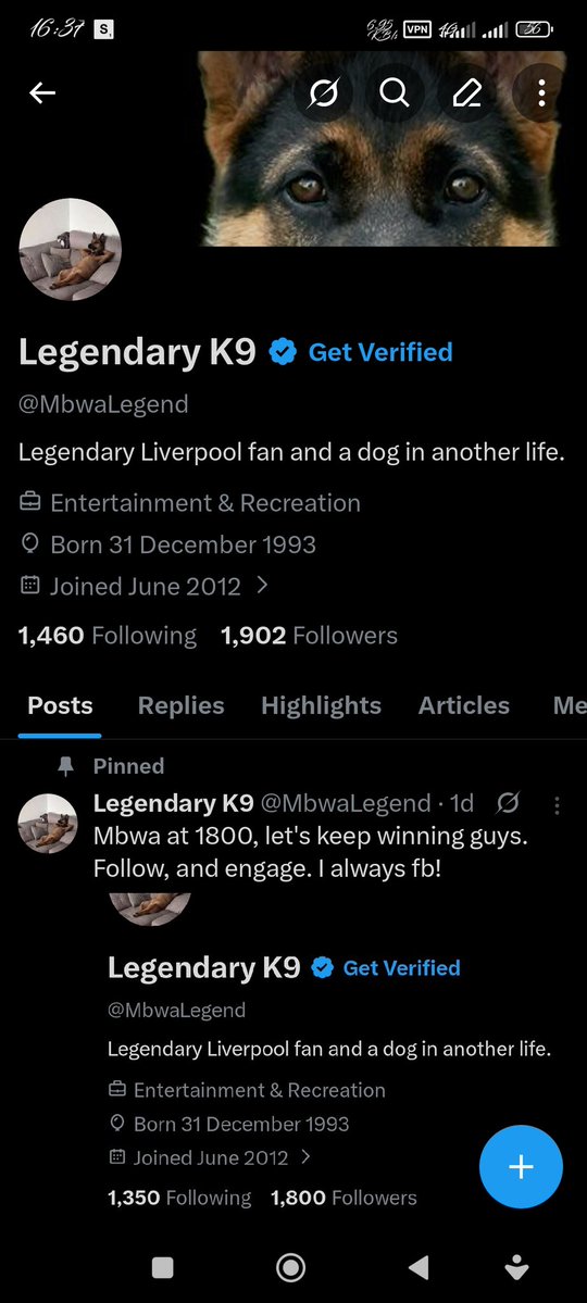 Legendary K9 tweet media