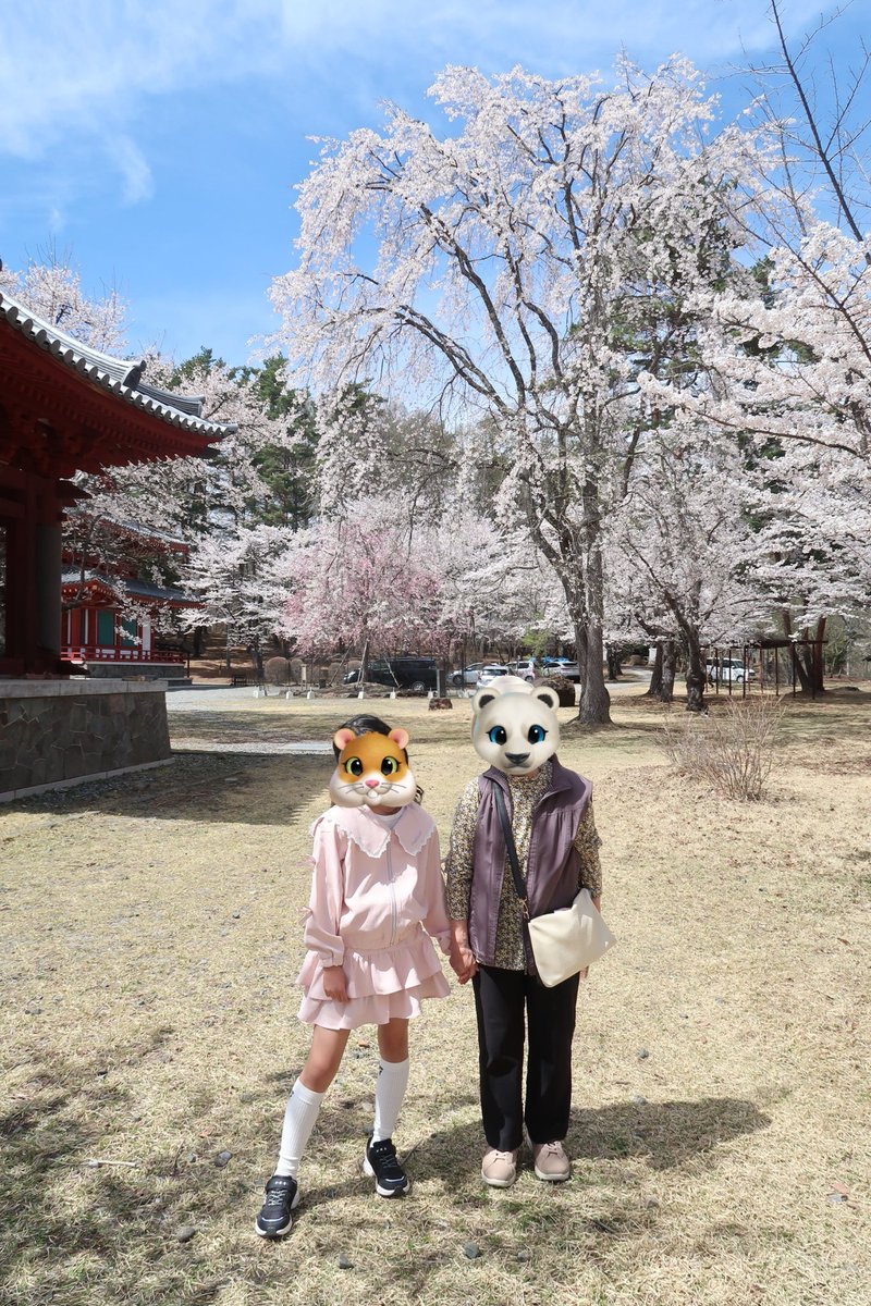 kan🐧💓博多明太子vol.2 tweet media