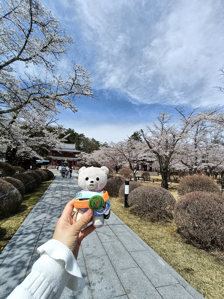 kan🐧💓博多明太子vol.2 tweet media