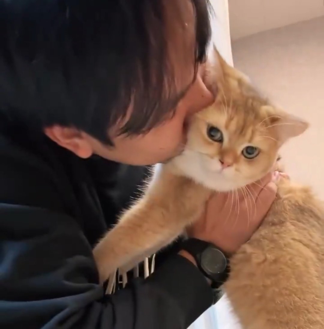 ּ ֶָ֢. tweet media