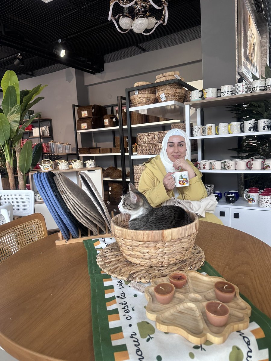 Cemile Bayraktar tweet media