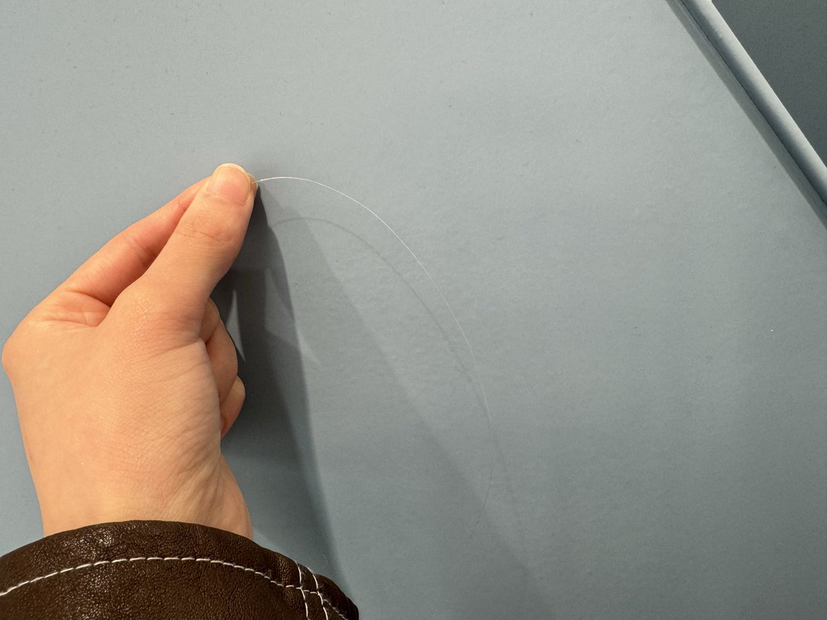 深川芹亜 tweet media