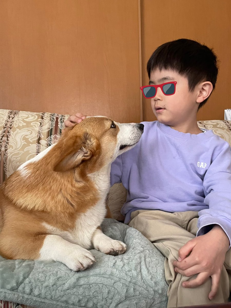 ひめ🐾2KD tweet media