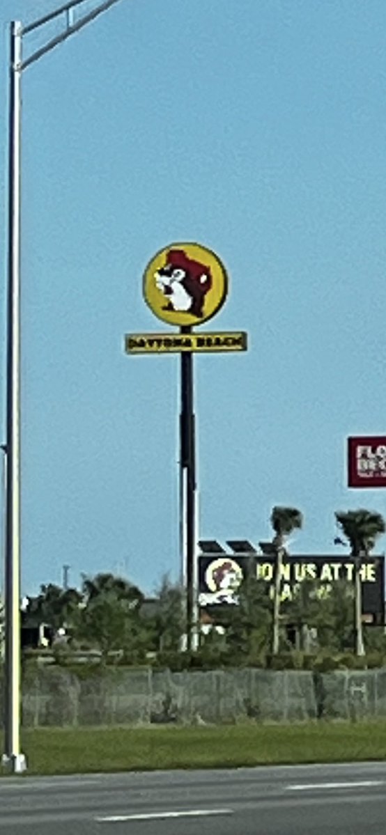 Thom Sieloff 🇺🇸 tweet media