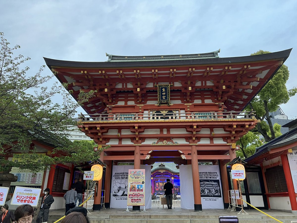 Lilymoon tweet media