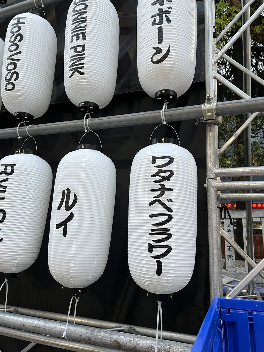 Lilymoon tweet media