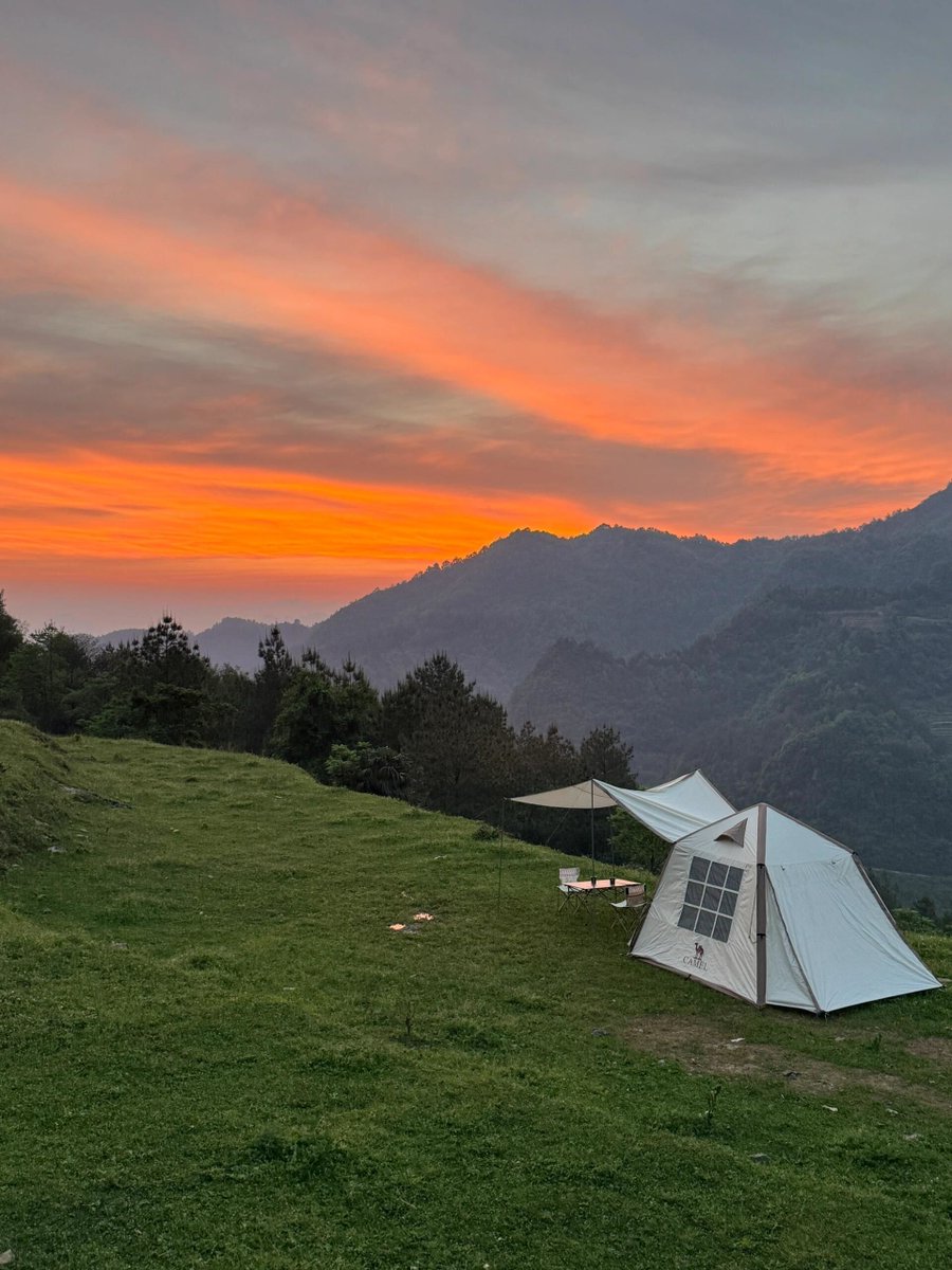 Kurt van Buitenen tweet media