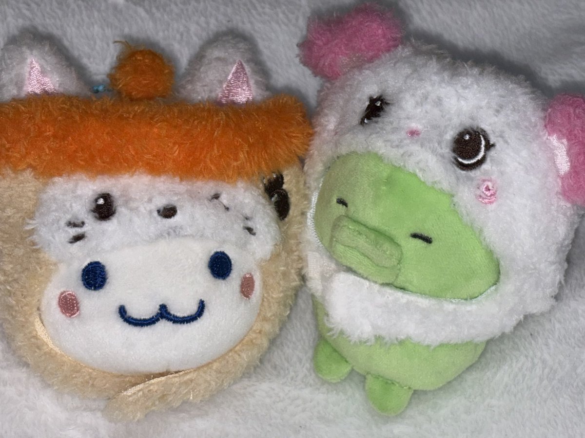 영칠이 tweet media