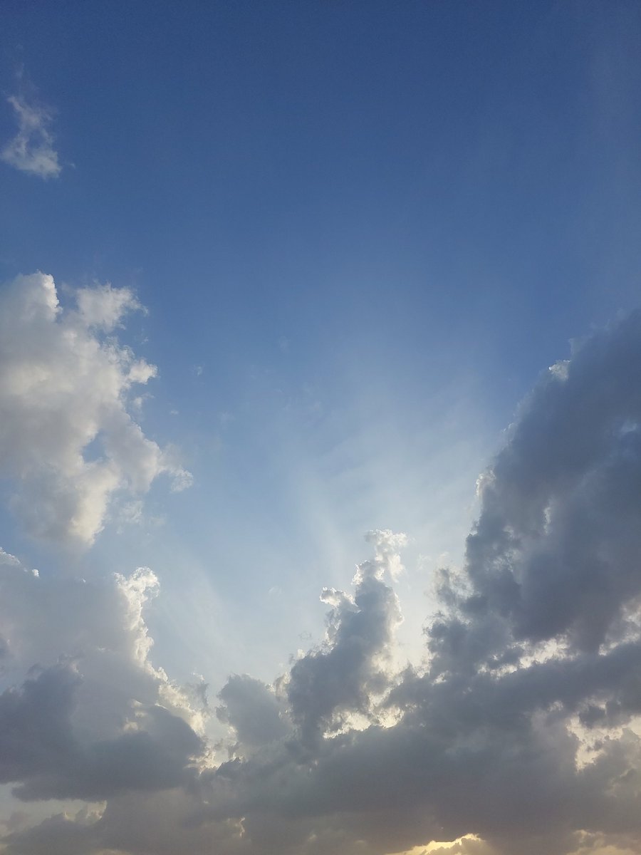 سعد الردادي tweet media