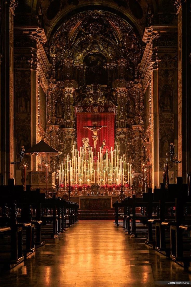 Verlustt🇻🇦 tweet media