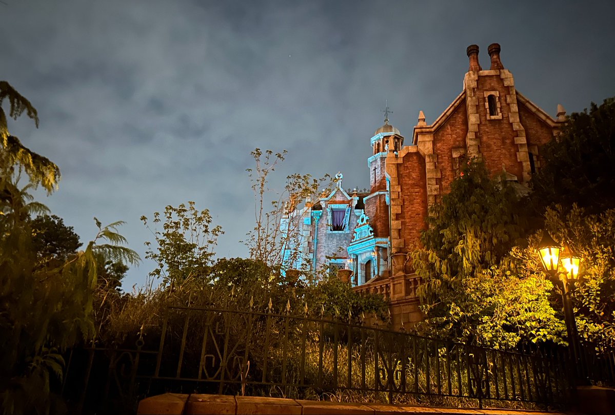 🦇あかりん👻🎃🦴🚗⚡️🏁 tweet media