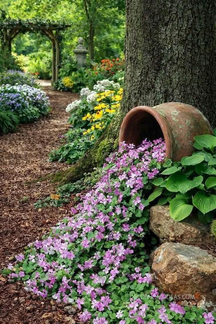 Alida Carbuccia tweet media