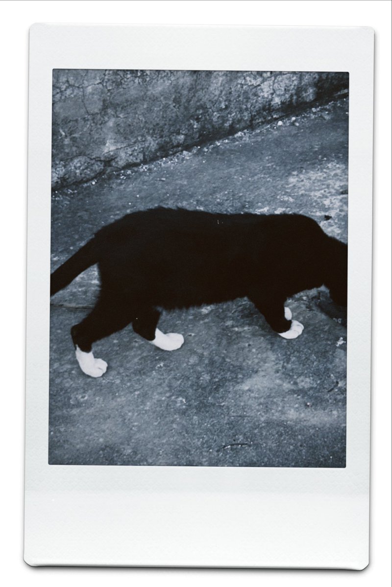 ghaaaanou tweet media