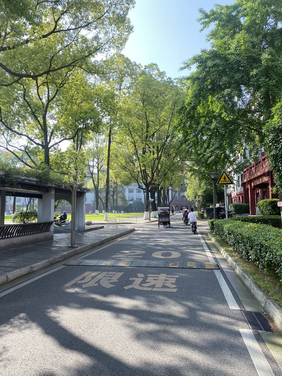 猫猫勇士 🏄 tweet media