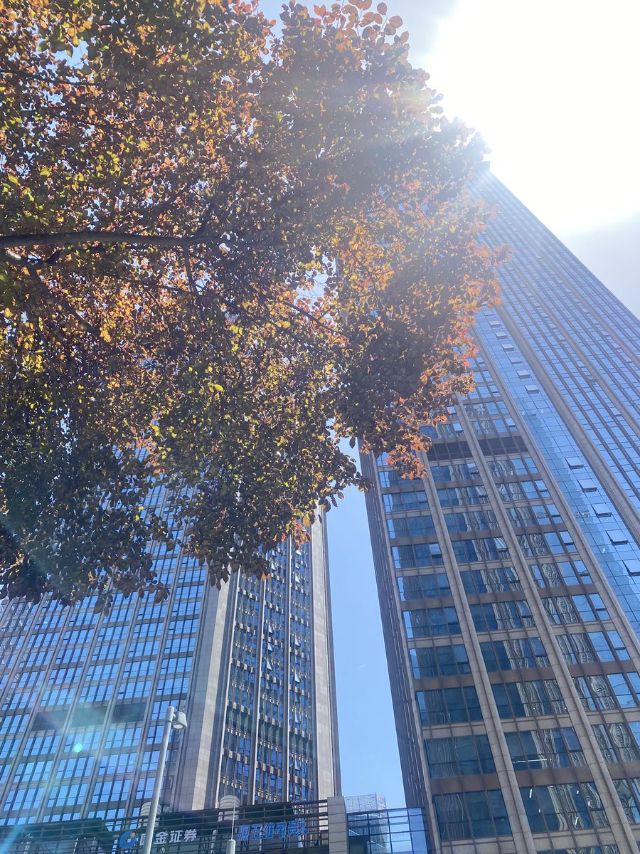 猫猫勇士 🏄 tweet media