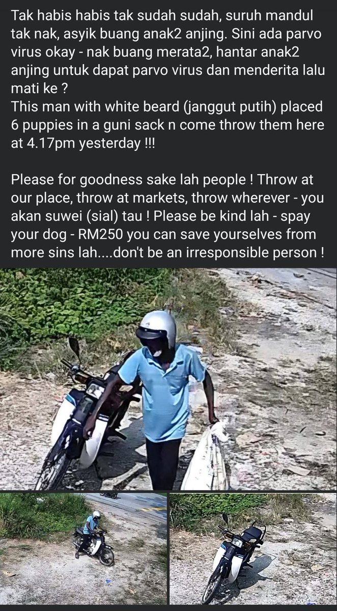 Fendi #RobohKuilHaram tweet media