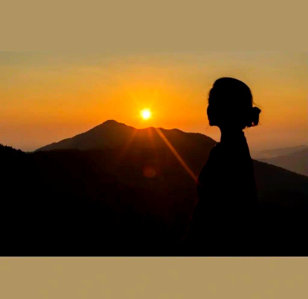 Barbara King tweet media