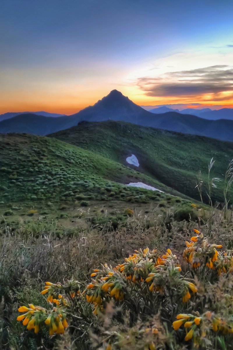 javad_rostami_a's tweet image. New Drop 🕊️
"Freedom Dawn"
10 ed
10 #tezos
Link 🔗 
objkt.com/tokens/KT1VHox…