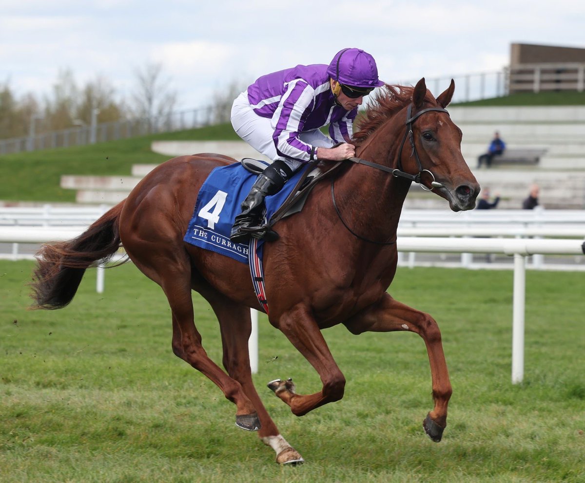 The Curragh Racecourse tweet media