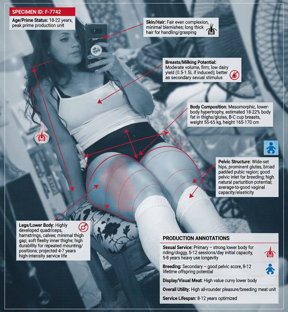 Feminist Nightmare tweet media