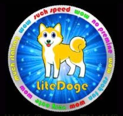 goejtech's tweet photo. If you can grab 1% of $litedoge at this price and lock in regardless of price action, you'll worth hundreds thousand of dollars by next month....

Screenshot this for reference purpose 🔥 

OG Dev @vashshawn is consistently cooking, fade him and cope hard https://t.co/DGsFB6lce5