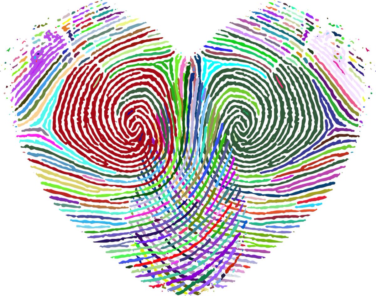 Lluvia de Verano tweet media
