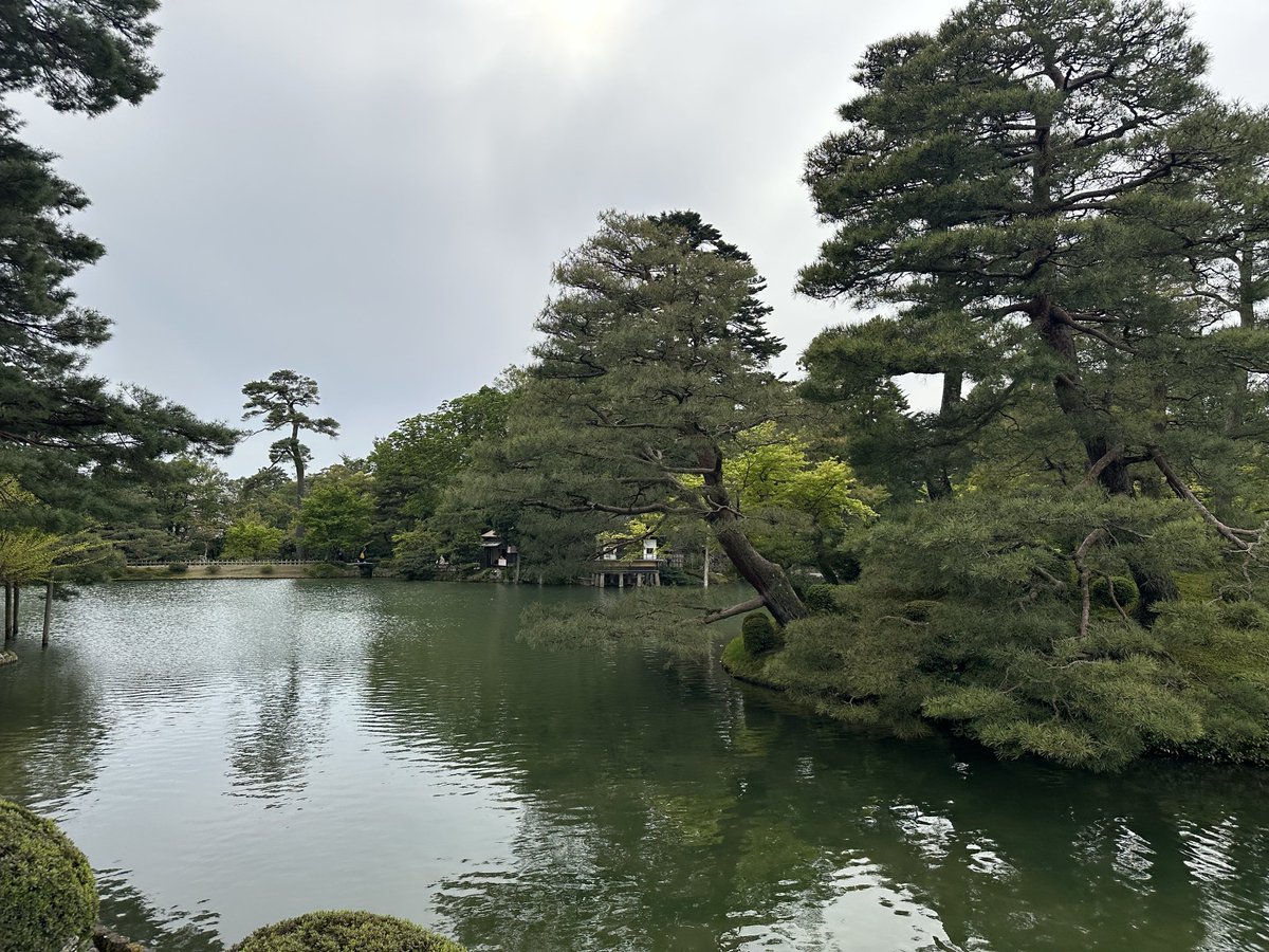 ザガード tweet media