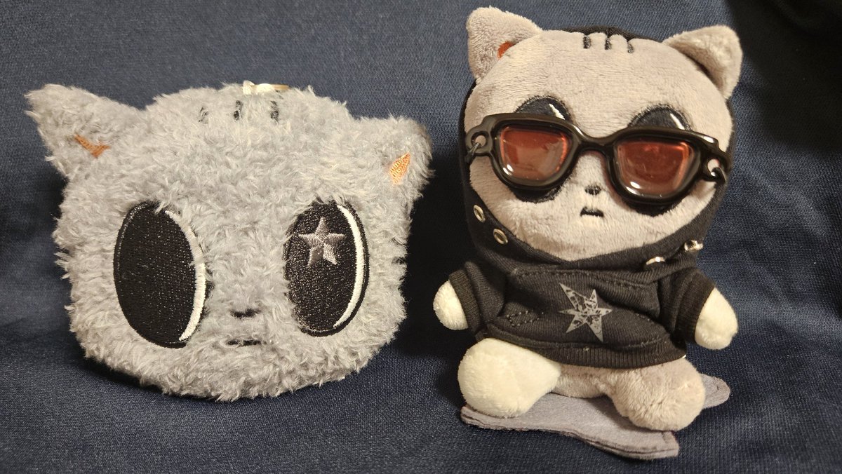 ちーこ★🐿 tweet media