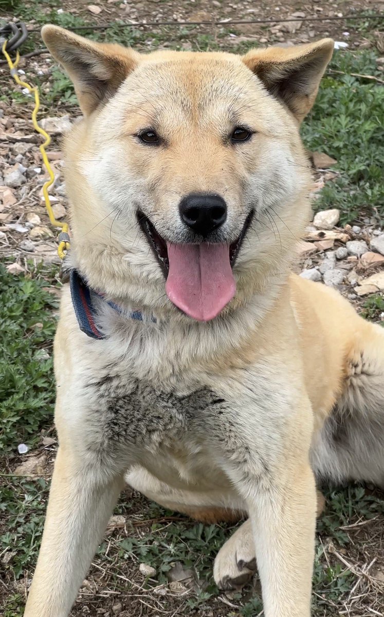 모니모니 tweet media