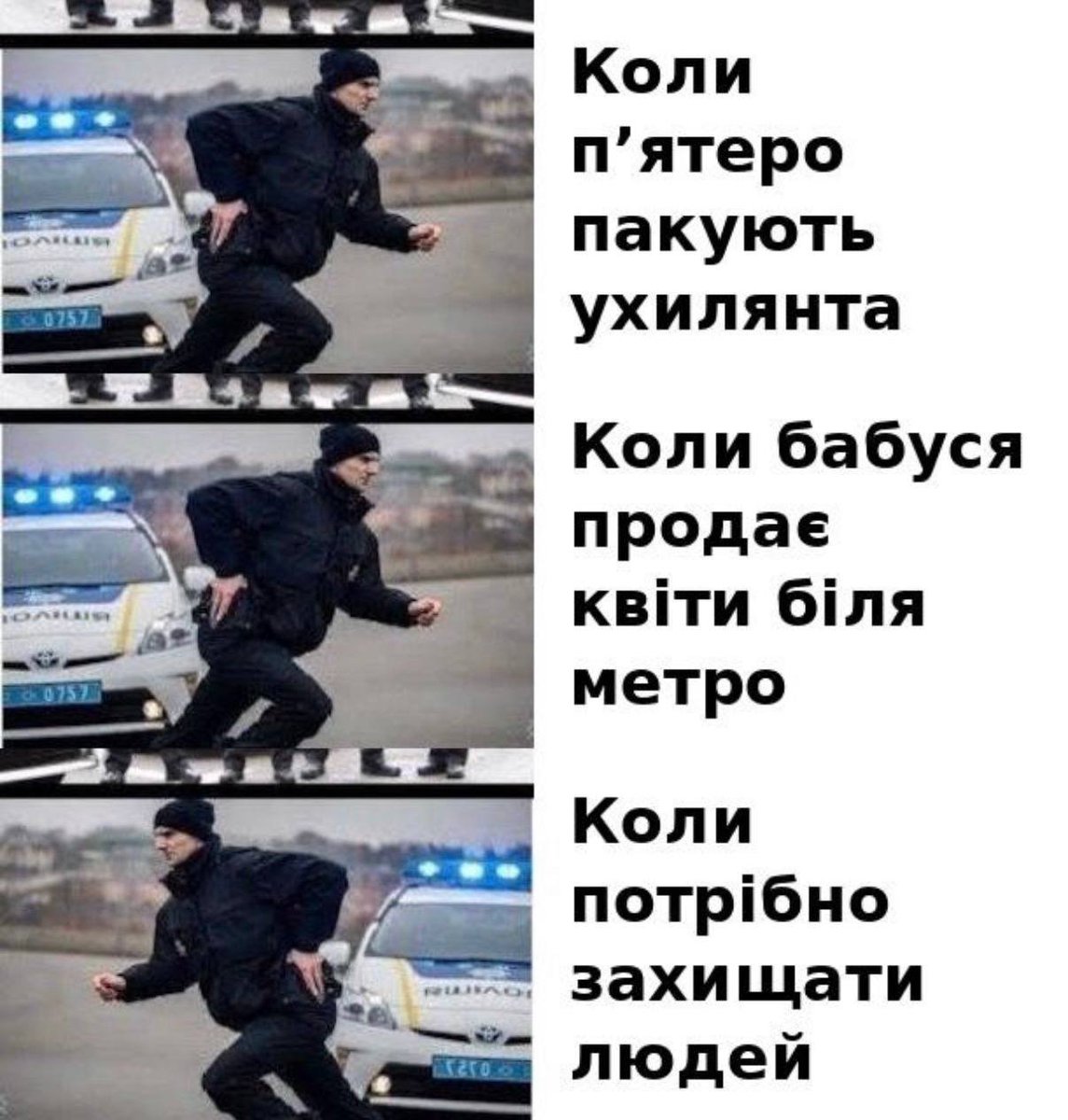 Олексій tweet media