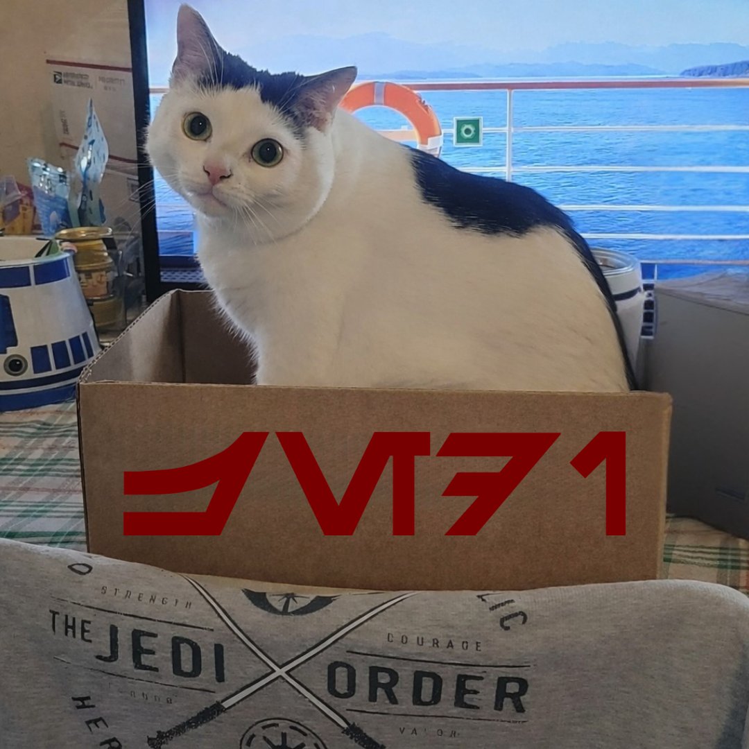 CatCheezeburger's tweet photo. "This is Red Five; I'm going in!" #LukeSkywalker #StarWars IV #ANH #SithSaturday
Luv, Jedi Mushroom Skywalker!
❤️🛸🍄💫❤️
#catoftheday
#catsoftwitter
#StarWarsQuotes
#MayTheForceBeWithYou
#MayThePawsBeWithYou https://t.co/HIswsCITMT