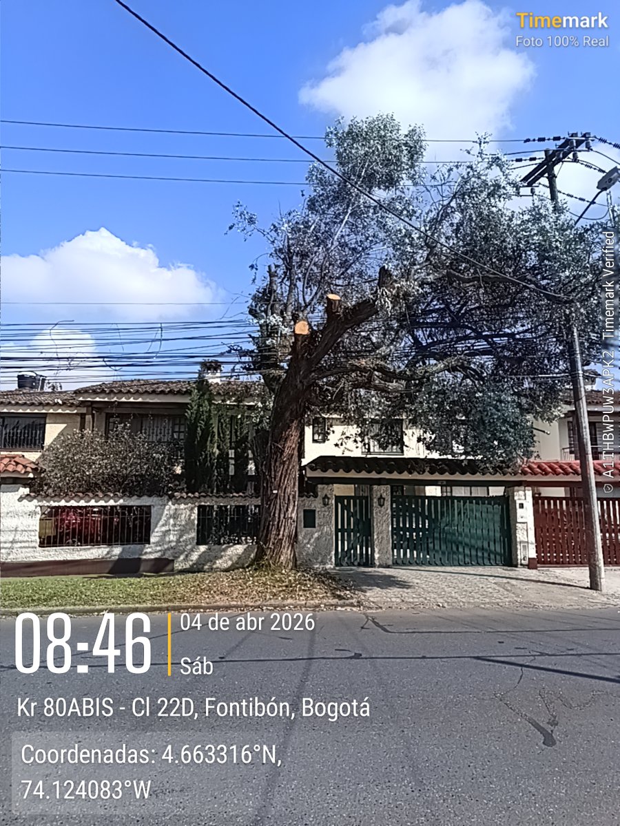 Esta intervención tan desafortunada será de <a href="/EnelColombia/">Enel Colombia</a>. Muy triste ver ese pobre árbol tan maltratado. Yo se que la foto ya tiene tiempo pero hoy justo voy a pasar por ahí a mirar si estaba sin concluir o... cc <a href="/Fontibon_Bogota/">Alcaldía Local de Fontibón</a>