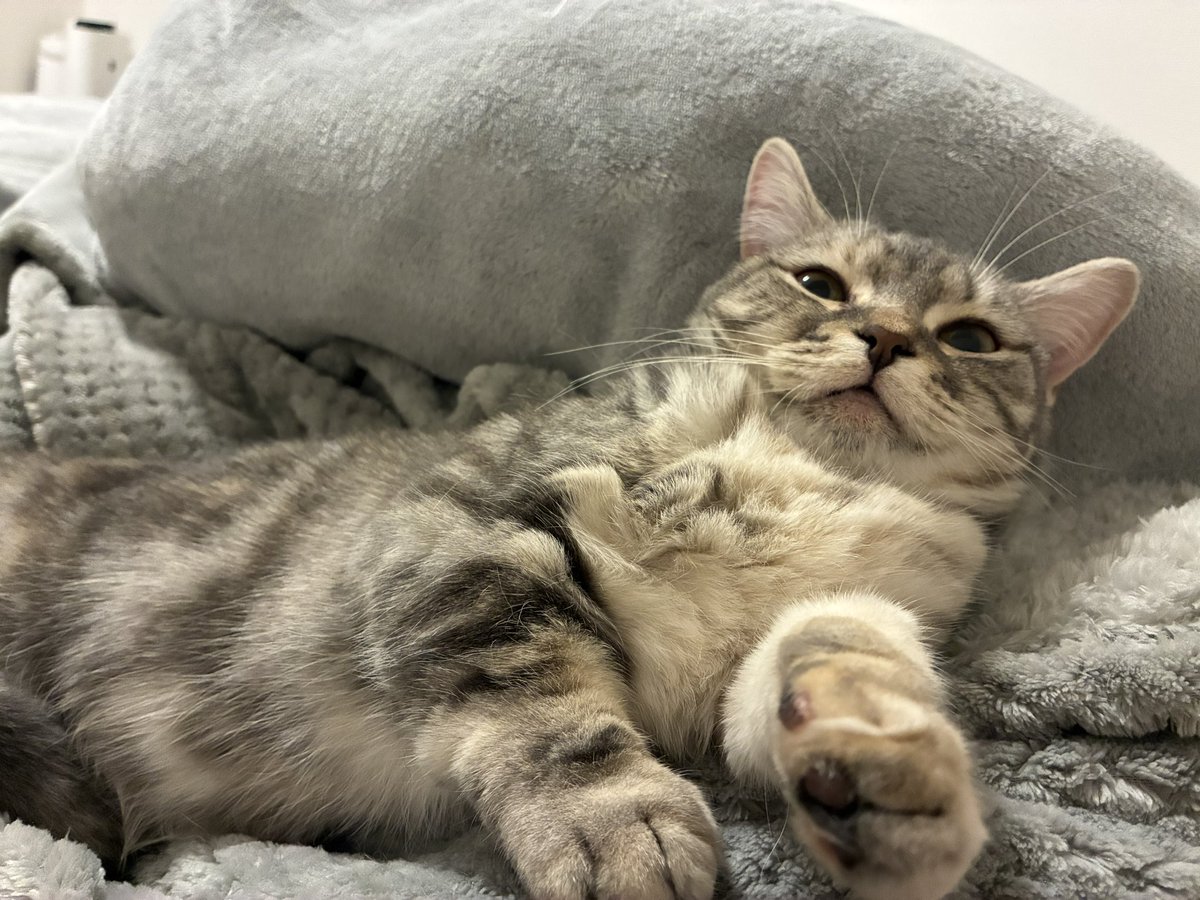 ちぃかわ🐰♡ tweet media