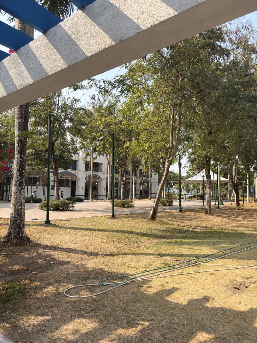 Howstin🧟💤 tweet media